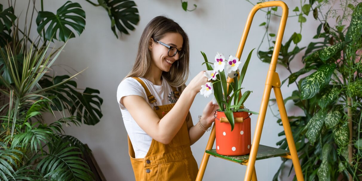 Como manter as suas plantas saudáveis!