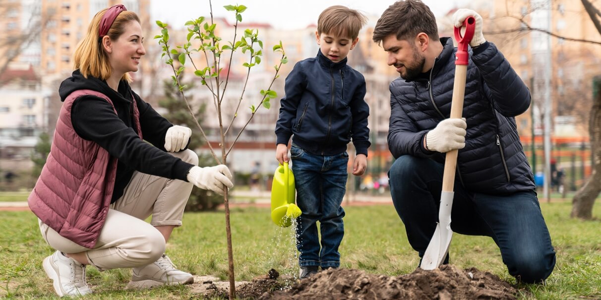 Jardinagem: Como Criar um Jardim Funcional e Sustentável